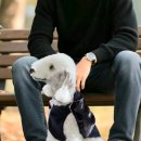 33문답(1%의 가능성이라도 인연을 찾아봅니다) 이미지