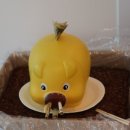 짐포레스트 이미지