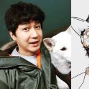 김화스포츠