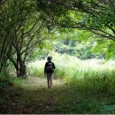 갈산천 구곡길 이미지