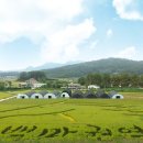 백마권역마을 이미지