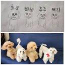시니어 디지털 문해교실 | 올 한 해 가장 감사한 사람은 사랑하는 가족입니다. 감사합니다...
