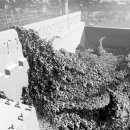 Art Zombie 이미지