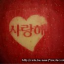 혜전약국 이미지