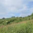 민둥산로 입구 이미지