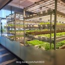 정가네밥상 제주스마트팜 <b>제주</b> <b>정가네</b><b>밥상</b> 예약 룸 메뉴 주차장 아라동 한정식 맛집 칠순잔치 후기(+코시롱돌코롬 떡케이크)