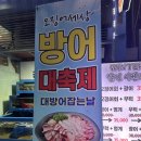 [강남_방어]연말회식 하기 좋은 강남 가성비 방어 맛집 삼성 ‘오징어 세상’ 삼성점 대만족한 기름진 후기