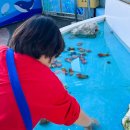 자연체험학습장 화장실 이미지