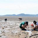 갯벌 이미지