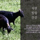 원기목장 이미지