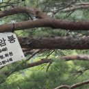 화천 비래암봉&amp;만산(2026. 8. 8) 이미지