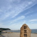 하봉석 대게·
회(환호동점) | 포항대게맛집 하봉석회대게, 가성비 폭발하는 2인 대게 회 세트 (오션뷰 최고)