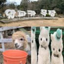 만사목장 이미지