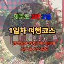 하동황금발전소 2호 | 제주도 2박 3일 여행 1일차 코스 총정리 | 함덕골목, 픽업카페, 아베베, 일도촌, 이도통닭 | 조아렌트카