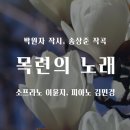목련의 노래 /박원자 시 / 송상준 곡 / 소프라노 이윤지 이미지
