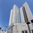 영동비치 이미지