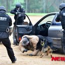 경찰특공대 이미지