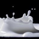 팔도맛집 이미지