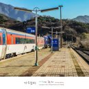 터미널토굴새우젓 이미지