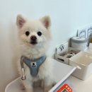 해오름 동물병원 이미지