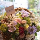 Flower늘봄 이미지