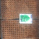 명지농장 이미지