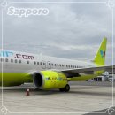진에어 셀프 모바일 사전 체크인 불가 이유? 김해공항 삿포로 진에어 후기