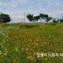 신왕제 네이버블로그