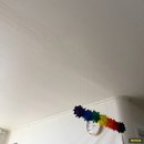 맘케어 | 수원 산후도우미 - 기도하는맘케어 실제 후기