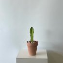 꽃바람화원