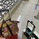 베트남 나트랑 여행 1탄_인천공항 긴급여권 발급, 인천공항 면세품 인도장, 베트남 나트랑 에어서울 RS...