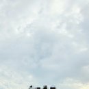 솔라고 골프연습장 (파3) 이미지