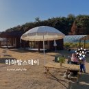 하하팜스테이 | 양양 아이와 가볼만한곳 '하하팜스테이'단독오두막에서 피크닉