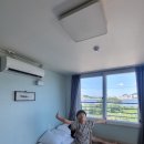 바닷가 하얀목화밭 | 목포 바닷가하얀목화밭 방문후기