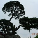 안계2리 이미지