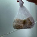 복칼국수 - 증평군 장뜰로 25 | [세종 금남면 맛집] 물총탕 칼국수 단골 맛집 복칼국수 후기