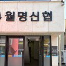 문타이테라피 이미지