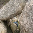 대경농장2 이미지