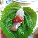 아중사계절 이미지