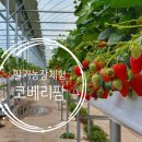 코베리팜