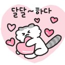 리커피(Reeh:리)