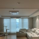 고양이발톱 - 중구 달구벌대로440길 11 | [내집마련] 고양이 발톱에 강한 가죽 쇼파 '다옴소파' 6개월 사용 후기(발톱, 토하는 고양이)