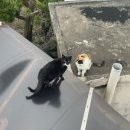 제주드루앙 신촌점 이미지