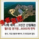 태양산림 이미지