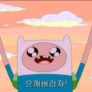 핀 Daum카페