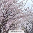 하방천변길 이미지