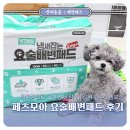 요술상자 | 강아지 배변패드 추천 페츠모아 요술배변패드｜레몬향 은은하고 흡수 빨라서 매일 쓰기 좋아요