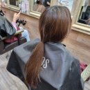 샴푸보이 이미지