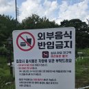 가을앤럭키 | 경기 남양주시 카페 [달빛새 베이커리앤카페] 내돈내산 솔직후기