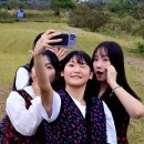 원동달팽이 이미지